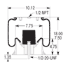 9069 - Peterbilt Air Leaf Air Bag
