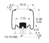 9921 - Neway 90557117 Air Bag