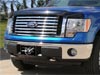 Ford F150 with a smoke bug shield