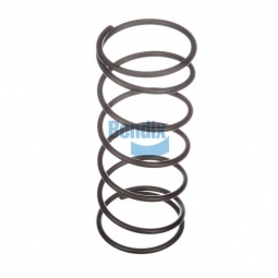 Bendix 231498 Type 50 Rotochamber Spring