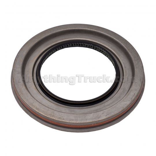 Dana 10032666 Differential Oil Seal: AnythingTruck.com